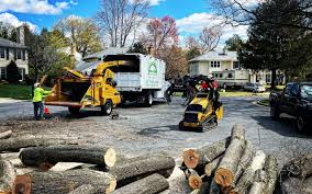 Best Lawn Edging  in Arlington, NY