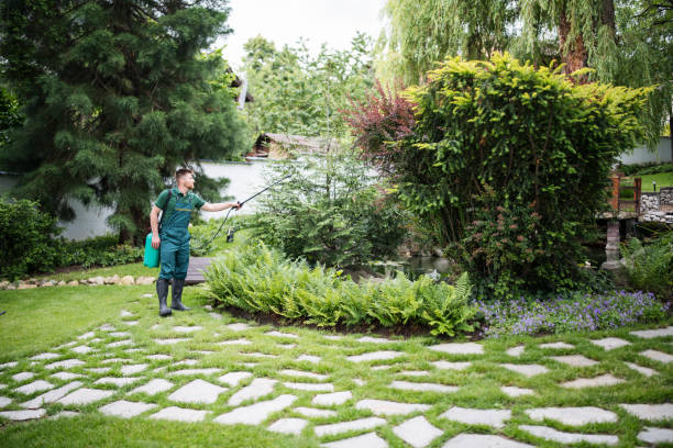 Best Lawn Watering Services  in Arlington, NY