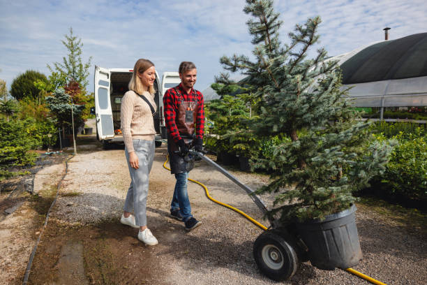 Best Weed Control  in Arlington, NY